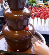 AK-192-1: เครื่องทำช็อคโกแลคฟองดู 
Chocolate fondue maker
